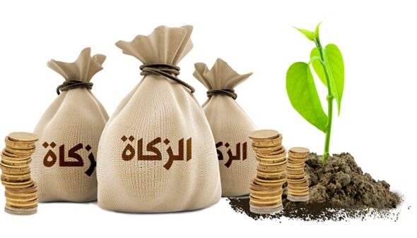 WhatsApp Image 2025-09-13 at 13.19.32